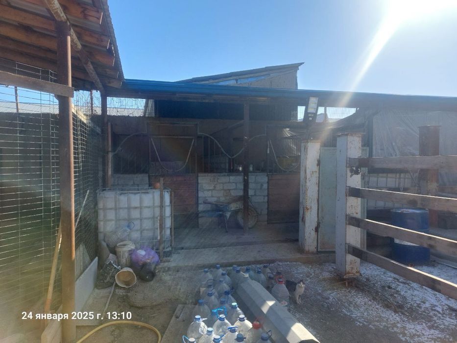 Продается мини ферма