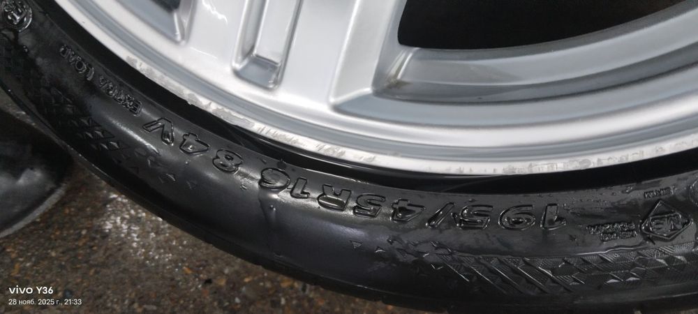 Торус торус торес