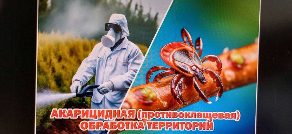 акарицидная обработка