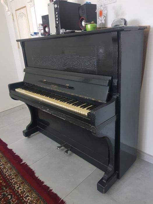 Forte  piano  ukraina  arginal