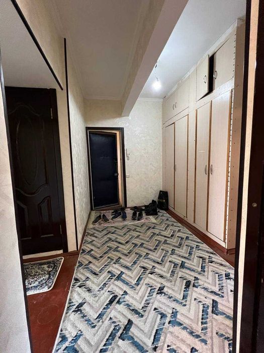 Mushuk ichkaridan tashqarida onlayn