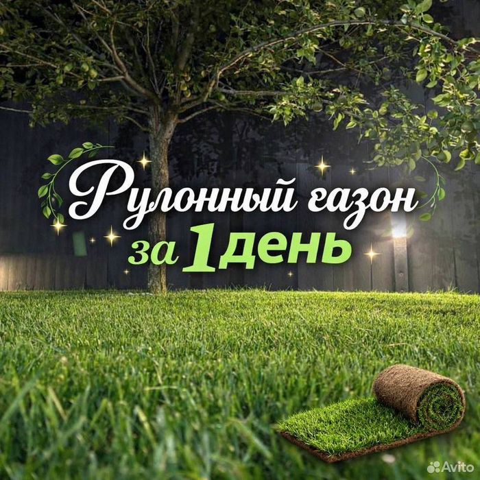 Рулонный газон От питомника