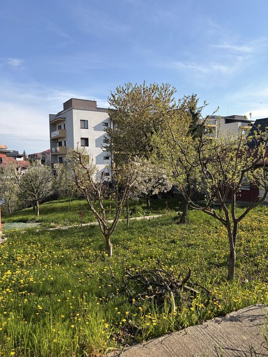 Teren de vanzare  cu, casa (printre ultimele ramase in zona)strada Macesului nr 17, cartier Buna ziua + casa