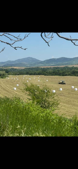 Продава се действаща кравеферма