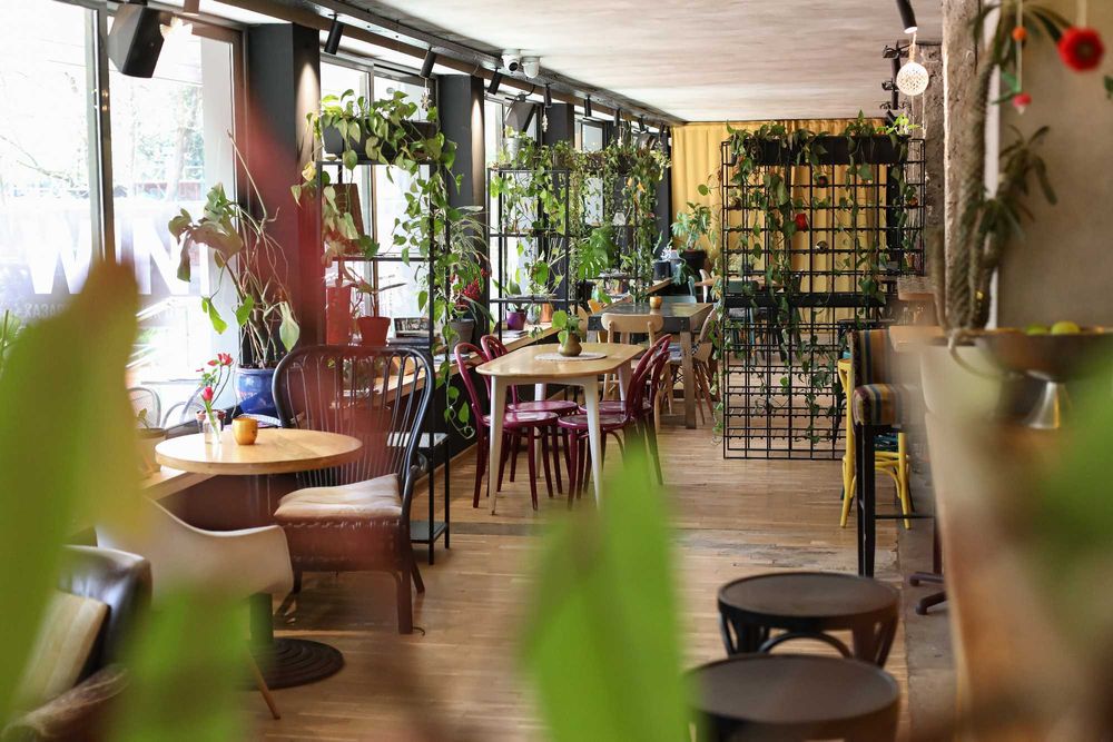 Продава се Заведение в София, Център - 250 кв.м за 123 €/кв.м - Снимка #3