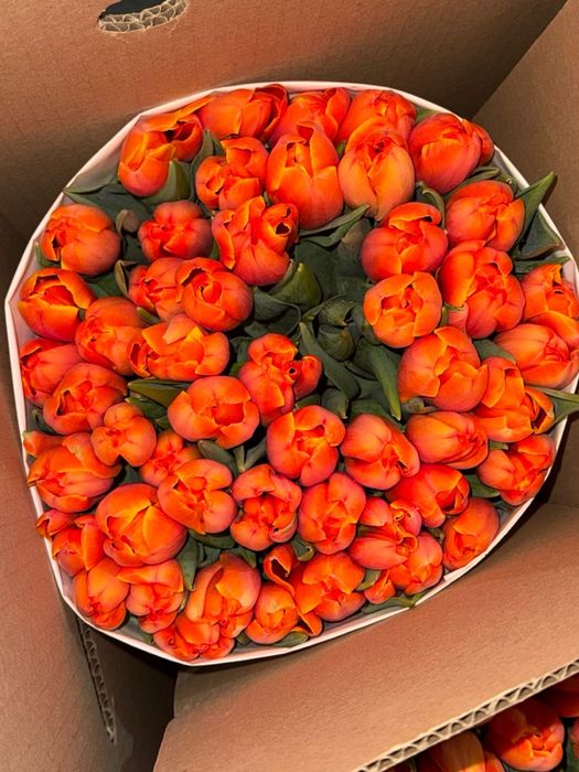 Тюльпаны оптом и в розницу