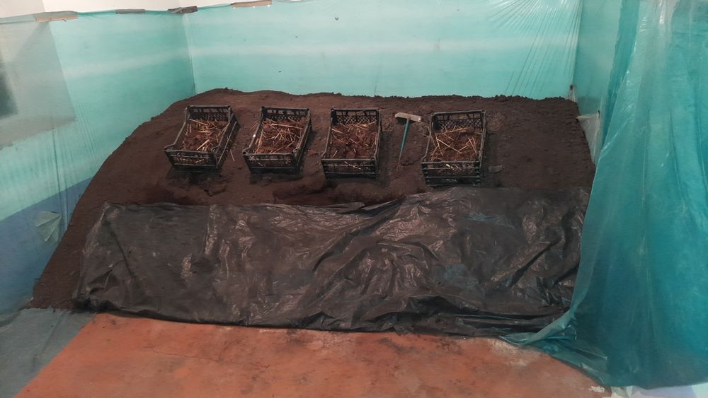 Biogumus va Chuvalchang SOTUVDA