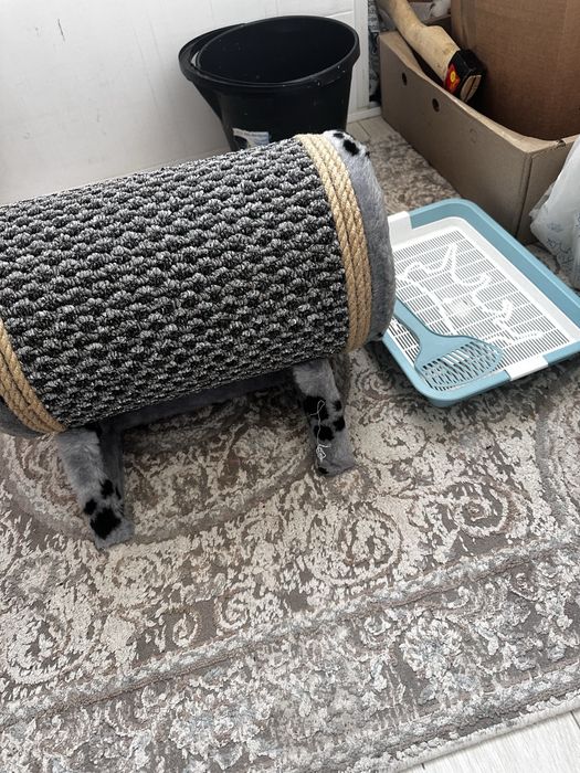 Когтегрызка и лоток для кошки