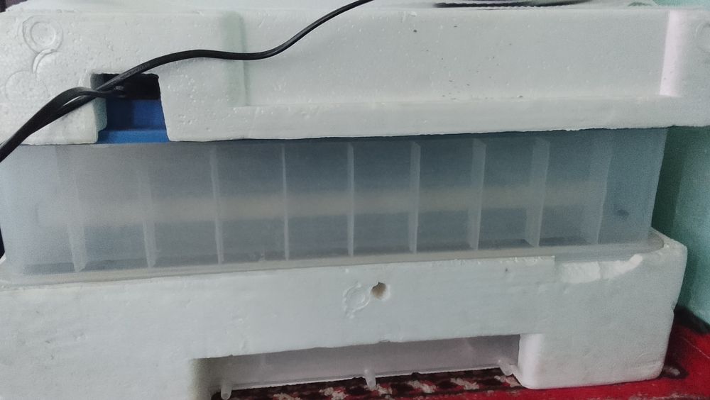 Yangi enkubator Xitoydan kelgan.
85-90% tuxumlar ochib chiqadi
Ochib c