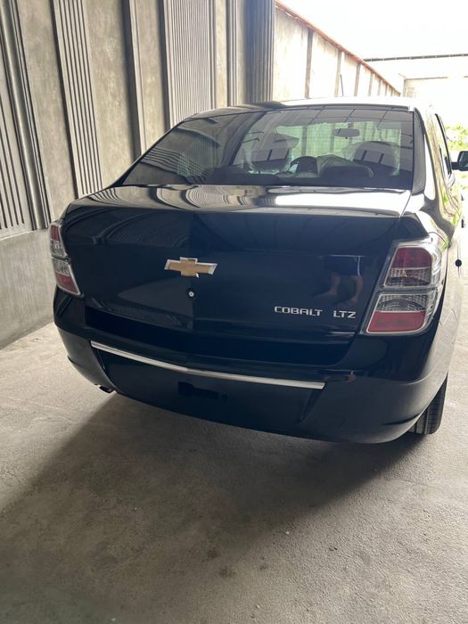 Yengi Kobilt Arendaga