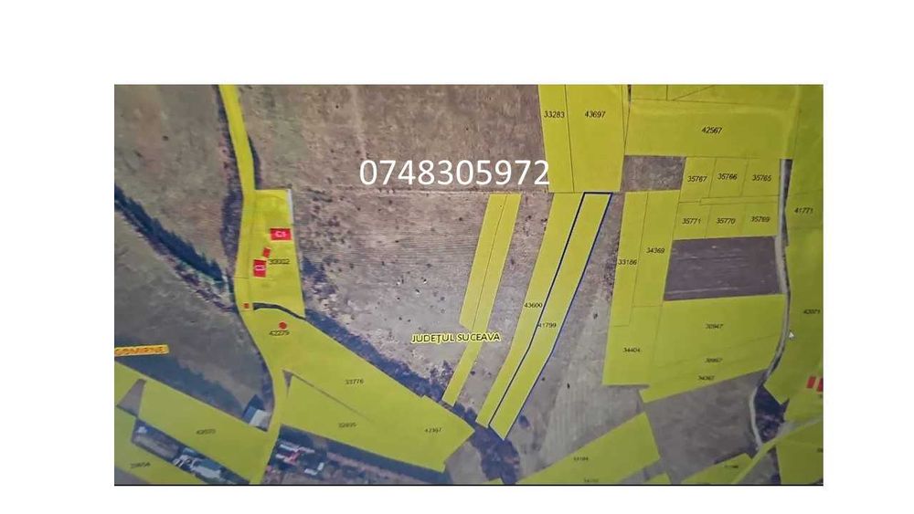 Teren Mitocul Dragomirnei 52 ari