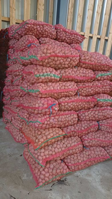 Vand cartofi samanta Carrera,Bellarosa