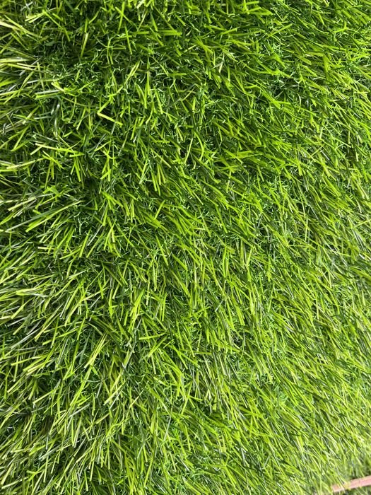 газон в  наличий