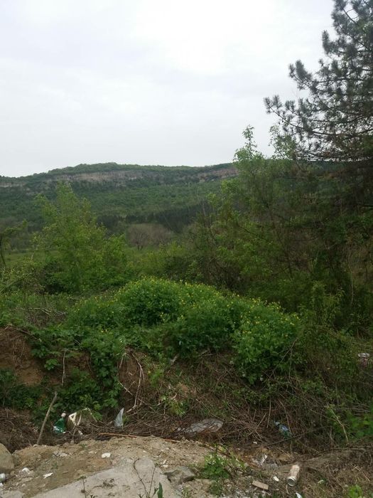 Продава се Парцел в Велико Търново, Света гора - 3000 кв.м за 6 €/кв.м - Снимка #5