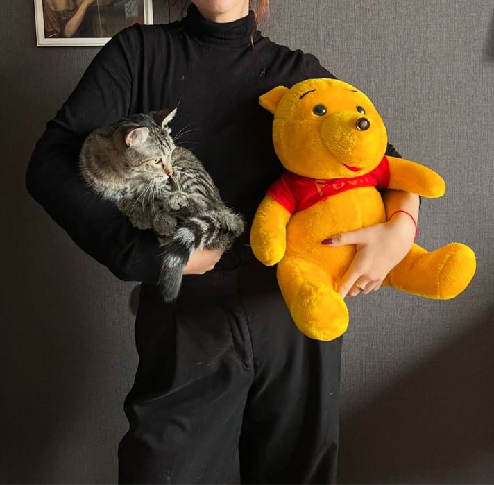 Плюшевая игрушки винни пух