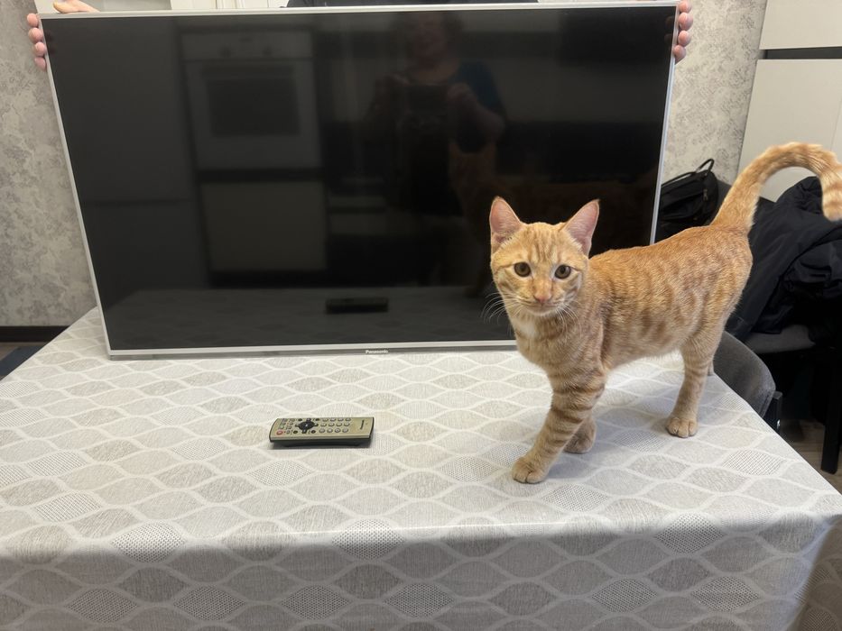 Телевизор Panasonic TX-LR42E6