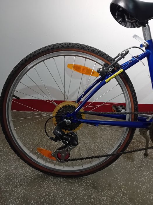 Bicicleta Venice