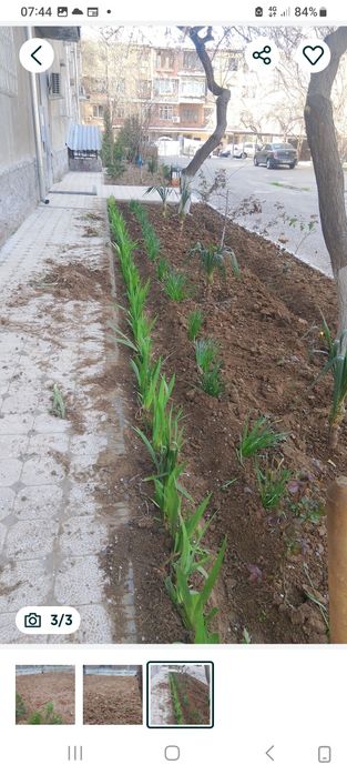 УБОРКА Территории. Садовник. Копать земли, стрижка деревья выравнивани