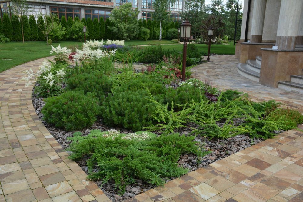 Озеленение | автополив | газон