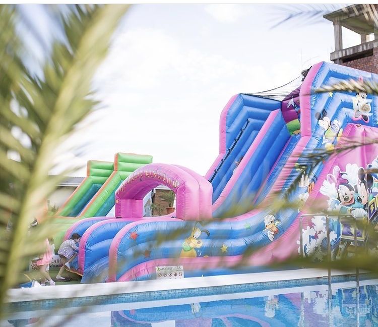 Decorațiuni nunta,mascote,gobflabile,fotobooth,aranjamente flori,covor