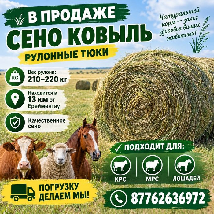 Продам сено ковыль