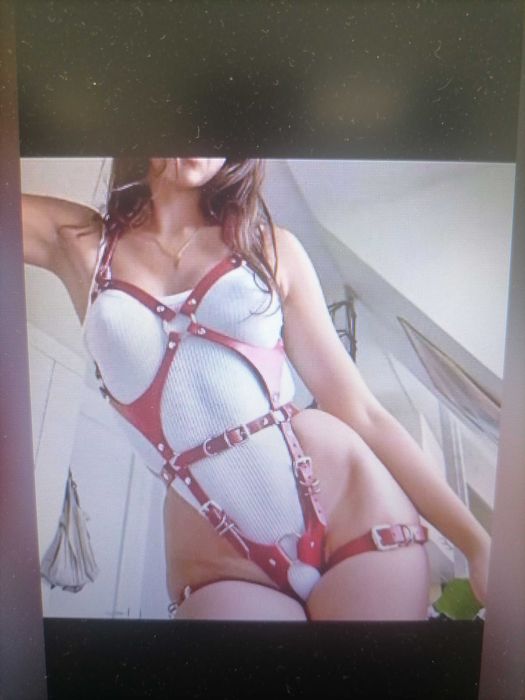 Харнес чисто нов 27