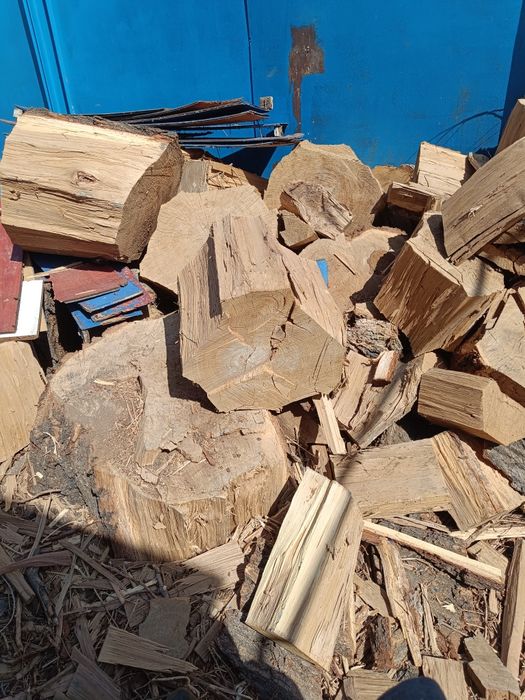 Карагаш бесплатно