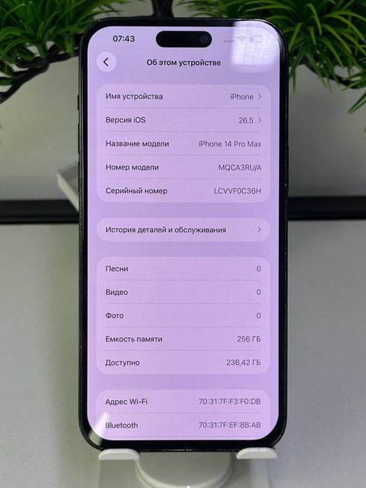 iPhone 14 Pro  Max / 81%  Менялся дисплей