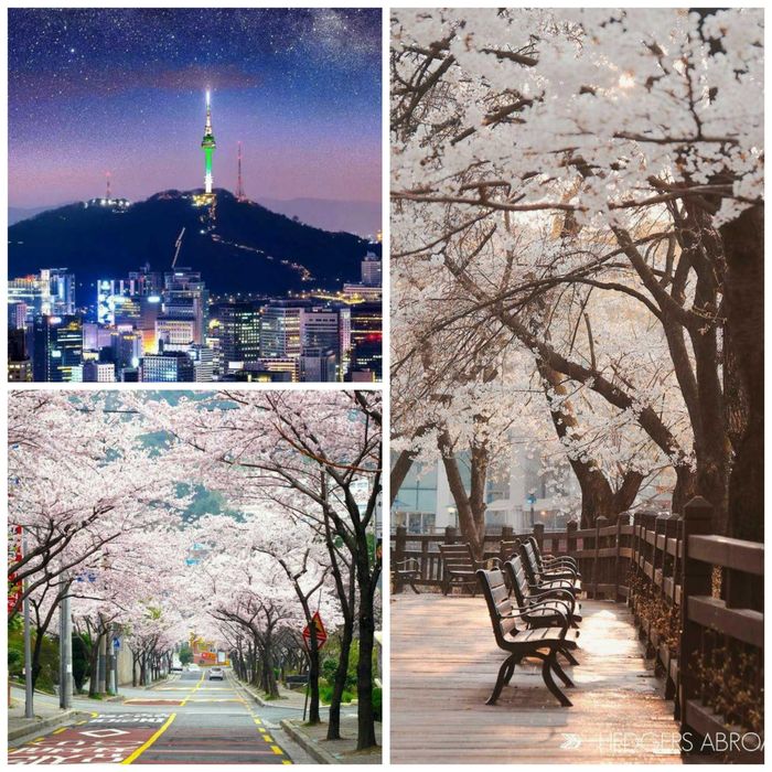 Корейский язык с нуля/начальный/средний уровень