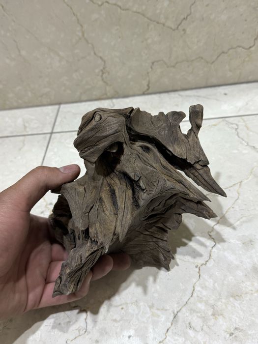 Karyaga sotiladi akvarium uchun