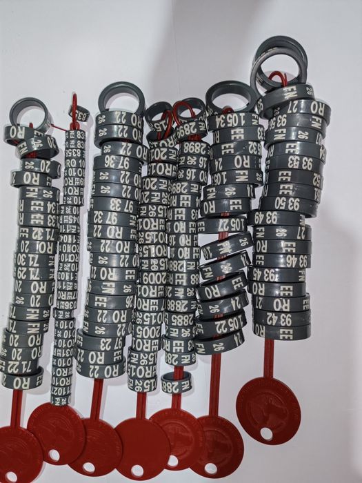 Inele originale păsări de rasă