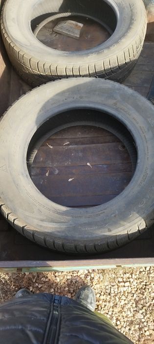 Резина Triangle Snow Lion 235/65 R17