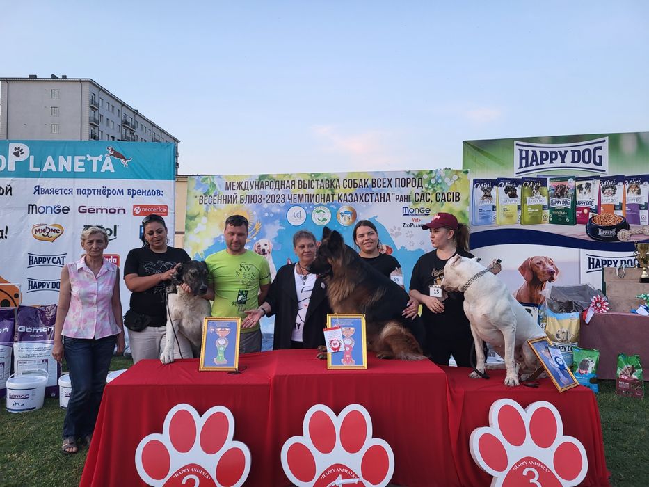 Дрессировка вашего питомца. Инструктор-Кинолог