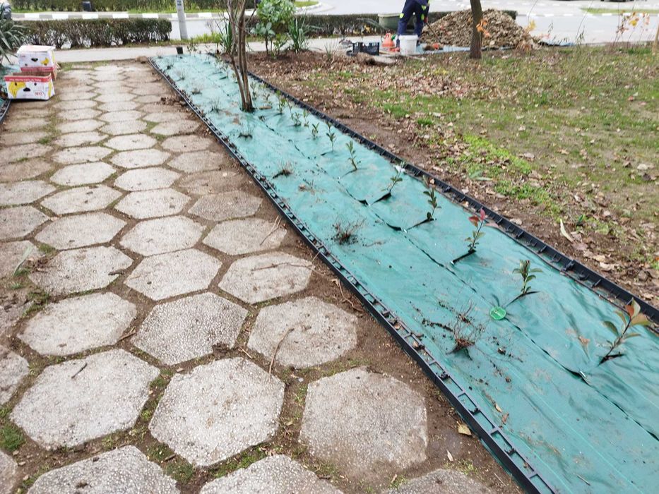 Косене трева, поддръжка, фрезоване, поливни системи, озеленяване