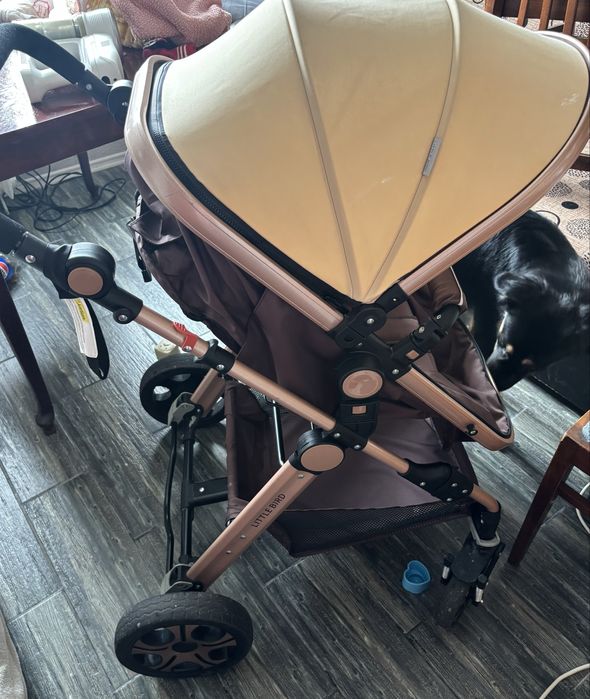 Vand Carut 2 in 1 LITTLE BIRD