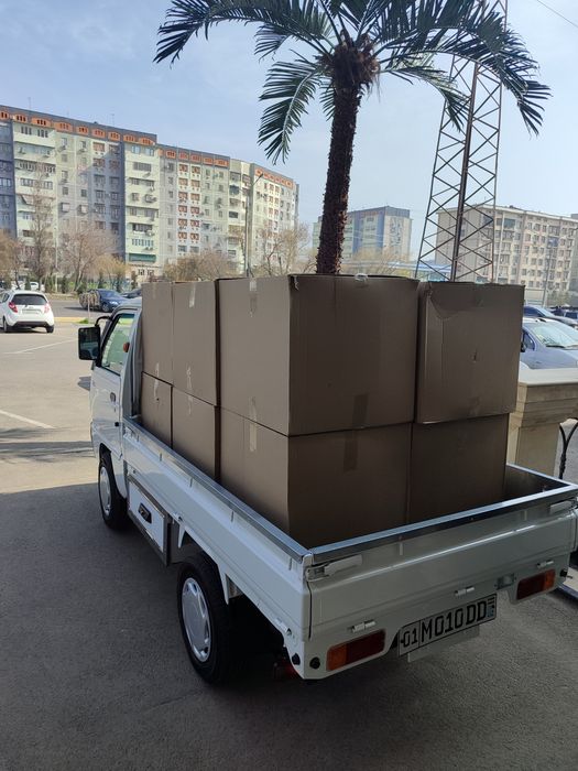 Labo 2025 Dekabr Sotiladi