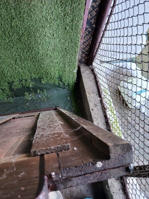 Vând oglindă foarte veche de peste 150 de ani în stare bună.