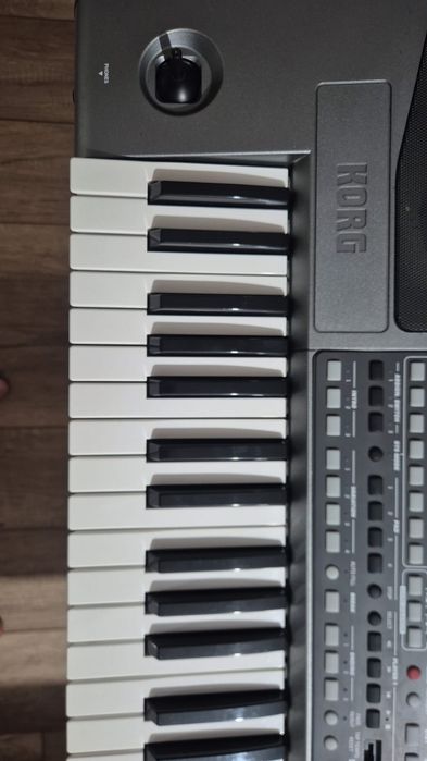 Корг па 900 сатылады.