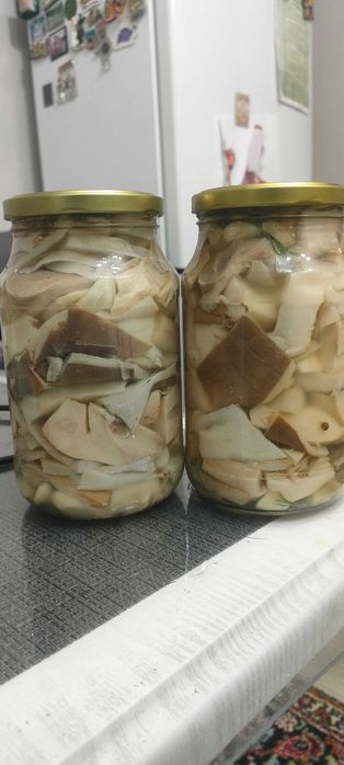 свежесобранные вешенки