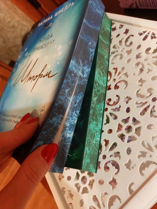 Карина Шнелль- книги Шторм и Ночь