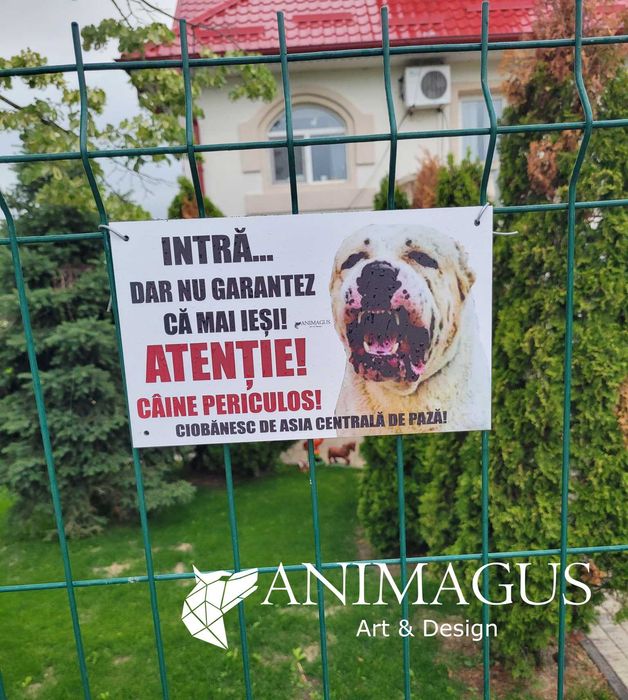 Placa Avertizare Caine Rau Periculos Ciobanesc Asia Centrala