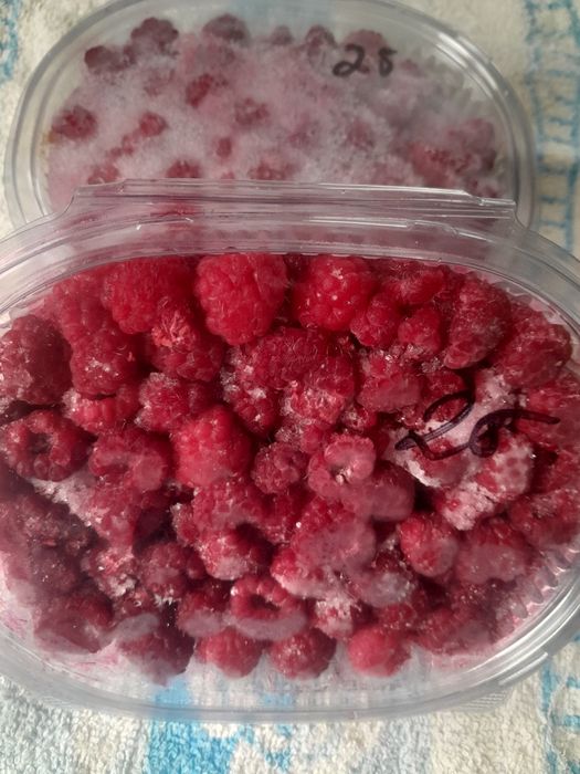 Малина замороженная