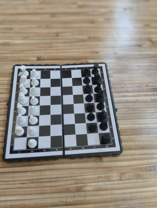 Шахматы магнитные.