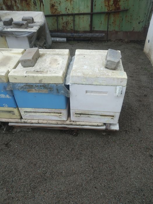 Продам ульи рамки, суш