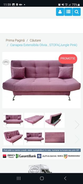 Canapea  extensibila cu 2 perne