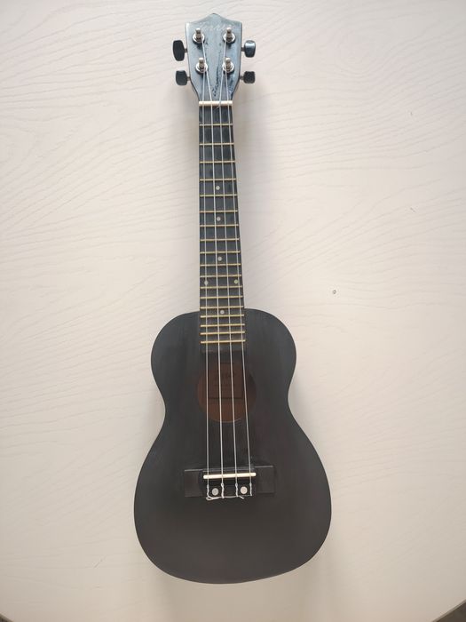 Укулеле Terris концерт