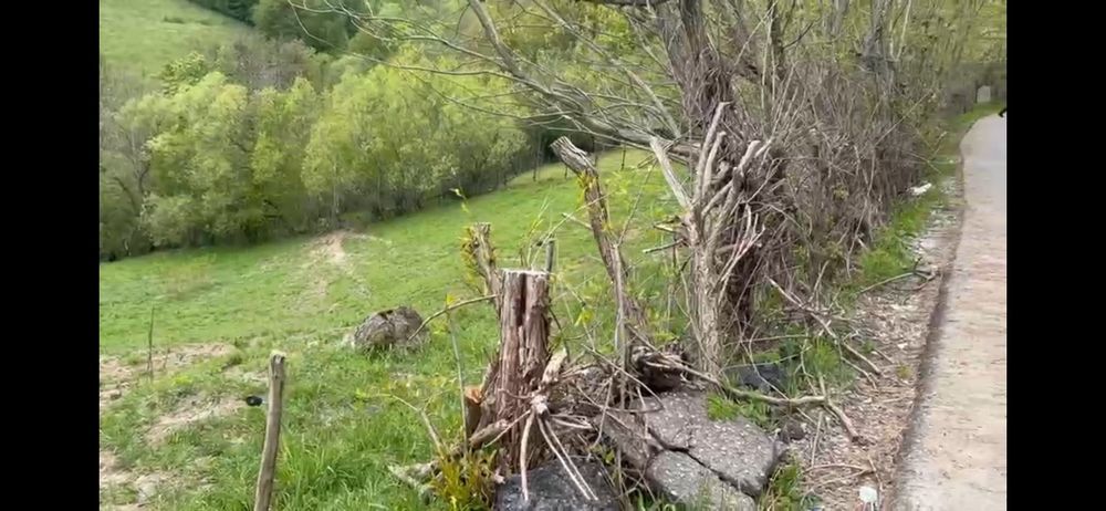 Teren la Transapuseana si unul in Mogoș Poieni