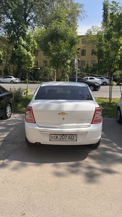 Cobalt 2025 Toshkent