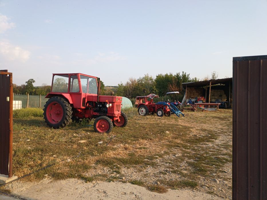 VAND FERMA 87000 euro negociabil