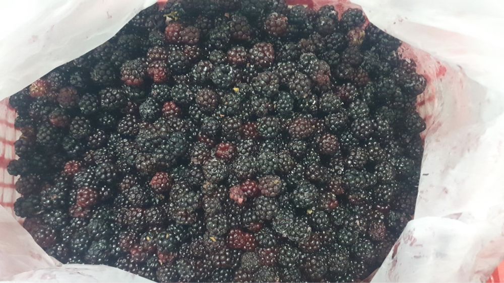 замороженная клюква